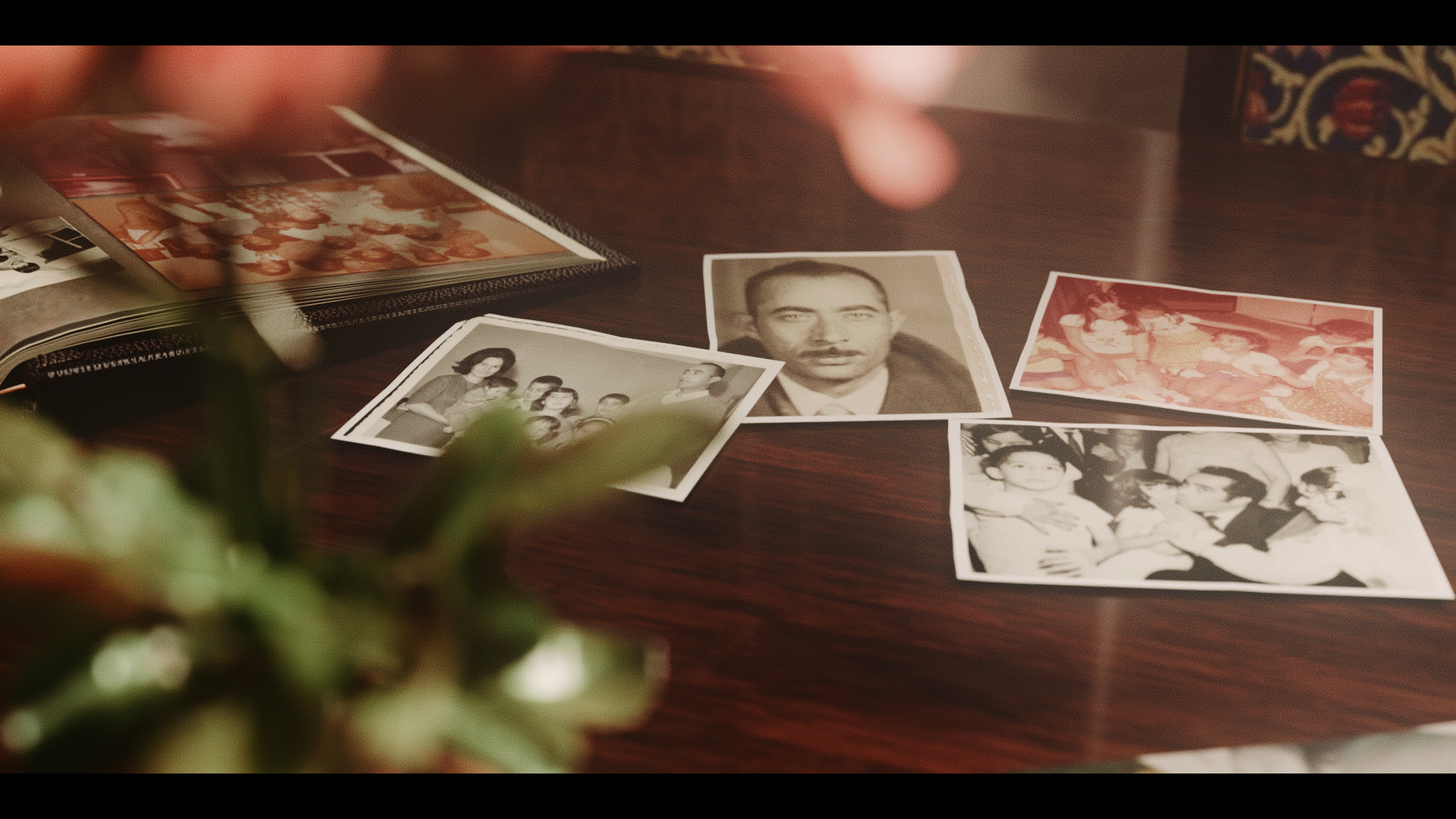 Shirin Behzadi's family